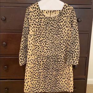 J. Crew leopard dress